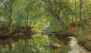 Landscape with several trees near a lake